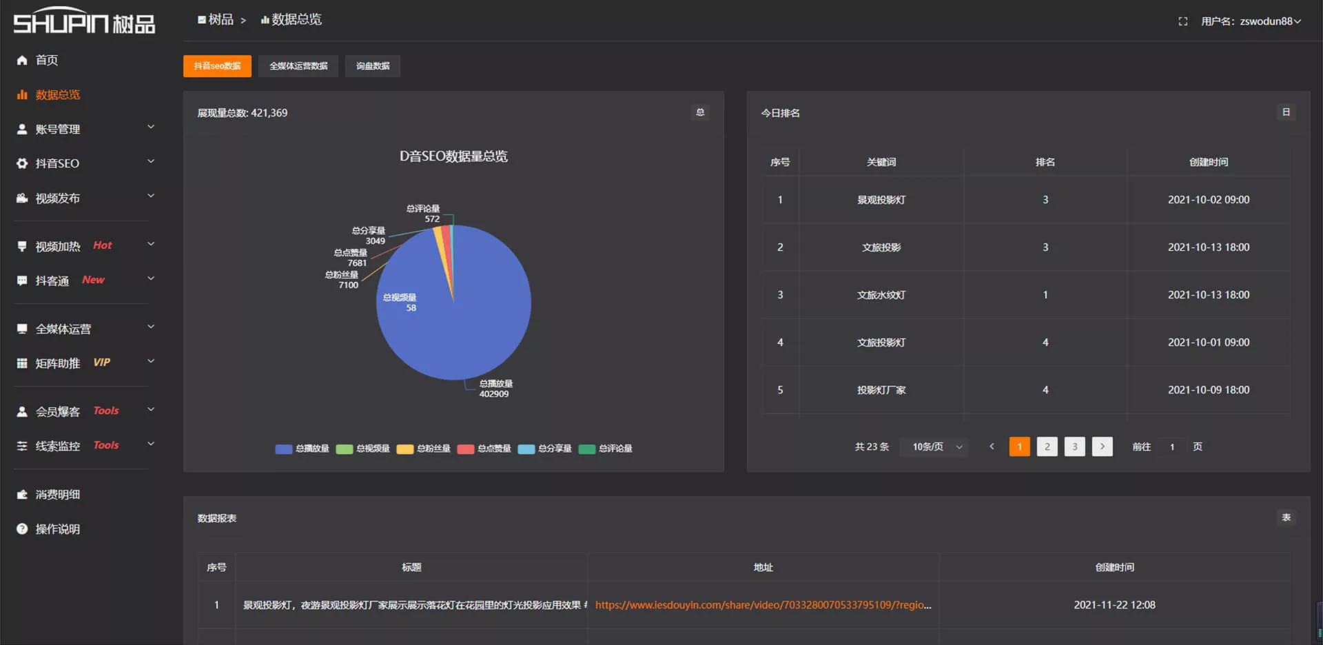 D音SEO数据总报表